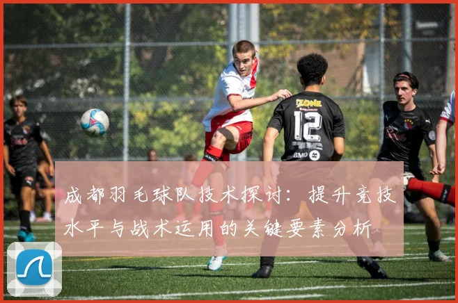 成都羽毛球队技术探讨：提升竞技水平与战术运用的关键要素分析